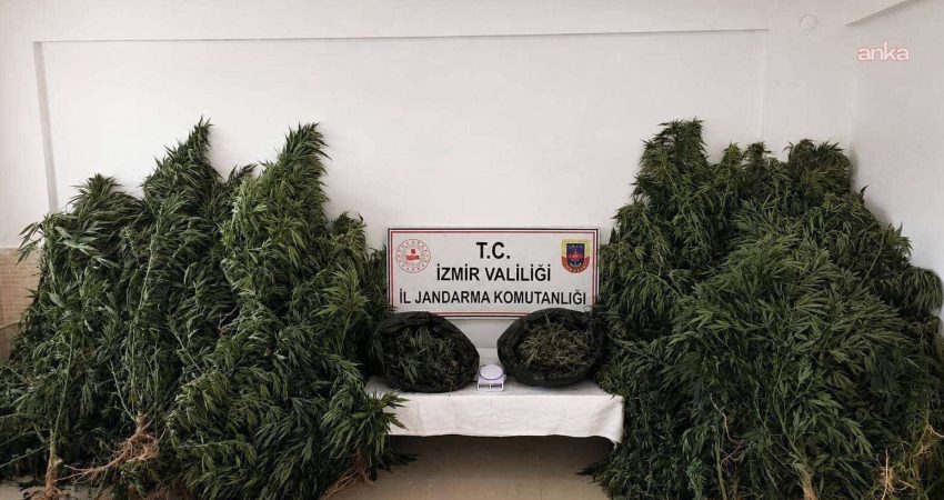 İzmir’de uyuşturucu operasyonu: 13 kilo 400 gram esrar ele geçirildi İzmir’in Kiraz ilçesinde jandarmanın düzenlediği operasyonda, 13 kilo 400 gram