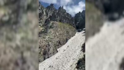 Rize'nin Çamlıhemşin ilçesindeki Avusor Yaylası mevkiSinde, yaklaşık 3 bin 100