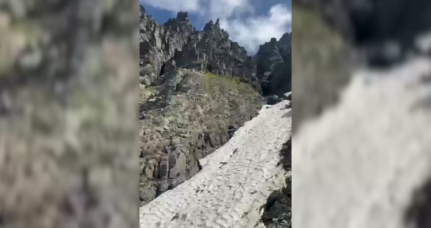Rize'nin Çamlıhemşin ilçesindeki Avusor Yaylası mevkiSinde, yaklaşık 3 bin 100