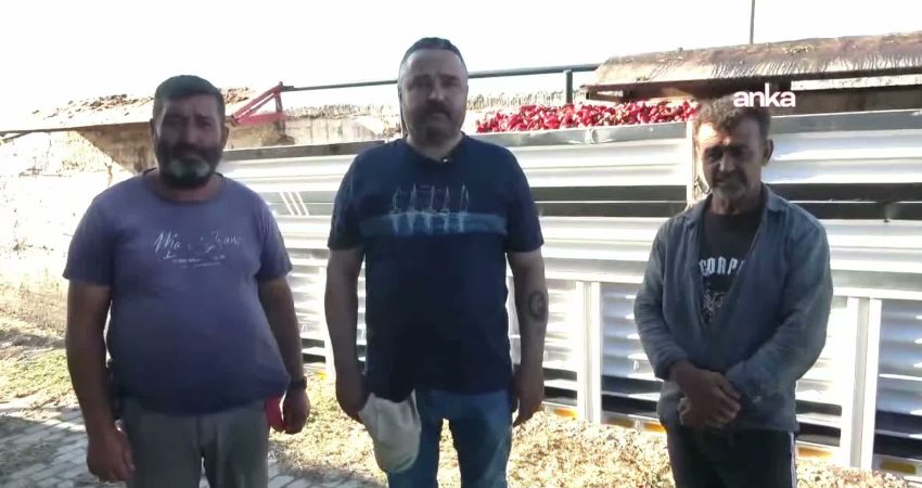 İzmir Kınık’ta çiftçiler, artan girdi maliyetleri ve düşük ürün fiyatları