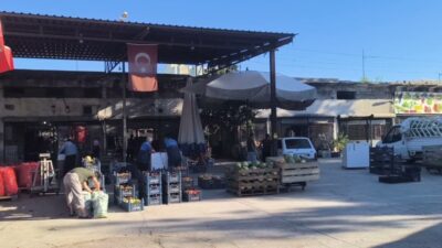 Osmaniye'nin Kadirli ilçesinde konserve domates yapmaya başlayan vatandaşlar fiyatların pahalılığından