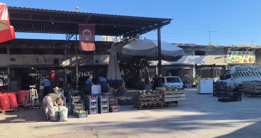 Osmaniye'nin Kadirli ilçesinde konserve domates yapmaya başlayan vatandaşlar fiyatların pahalılığından