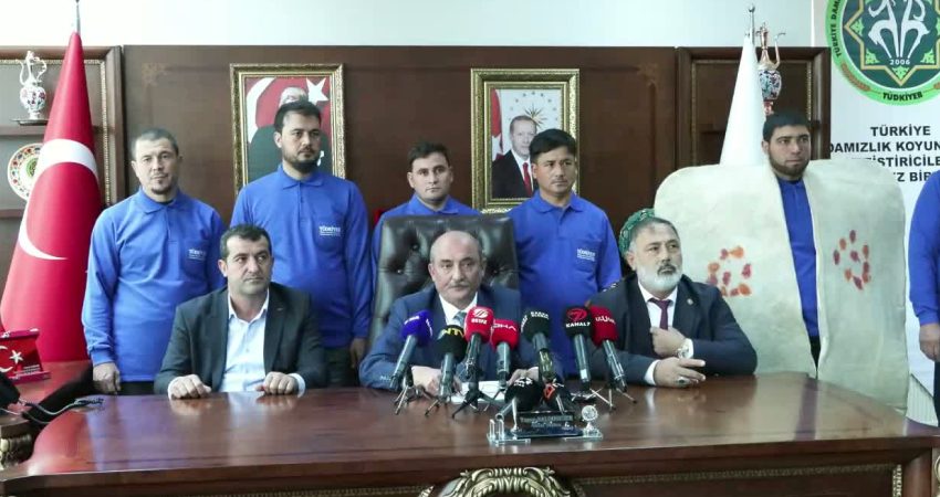 Küçükbaş hayvancılıkta yabancı sürü yöneticisi modeli Sivas’ta başlıyor Türkiye Damızlık Koyun Keçi Yetiştiricileri Merkez Birliği Genel Başkanı Turan