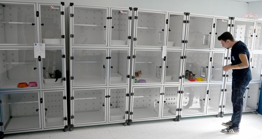 Kuşadası Belediyesi Davutlar Kedi Kısırlaştırma Merkezi’nde 1 yılda bin 539 kedi kısırlaştırıldı Kuşadası Belediyesi’nin geçen yıl hizmete açtığı Davutlar Kedi Kısırlaştırma Merkezi’nde
