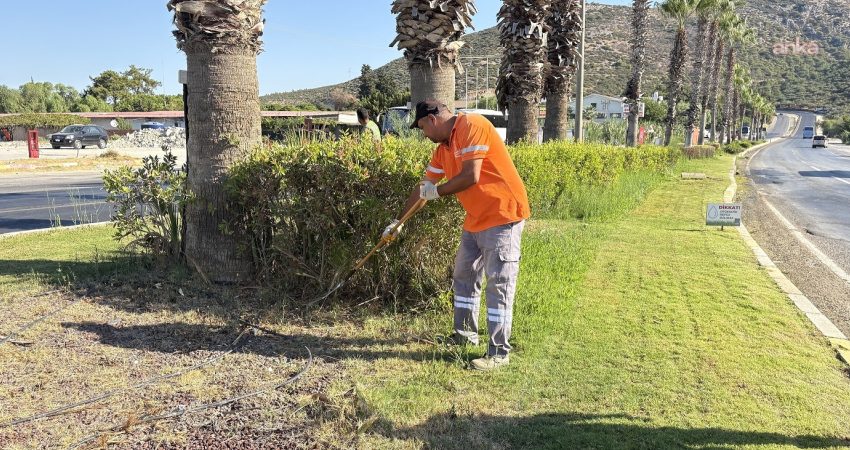 Kuşadası Belediyesi, "ilçenin estetik dokusunu korumak ve yol güvenliğini artırmak"