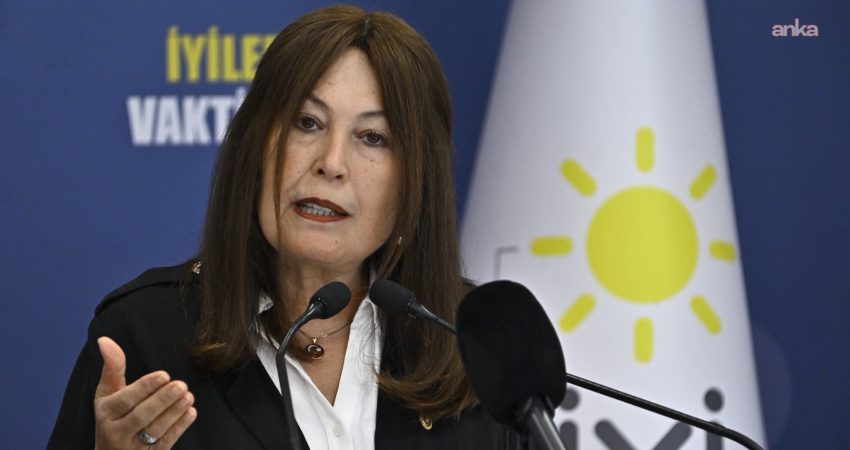 İYİ Parti Genel Başkan Yardımcısı ve Manisa Milletvekili Şenol Sunat,