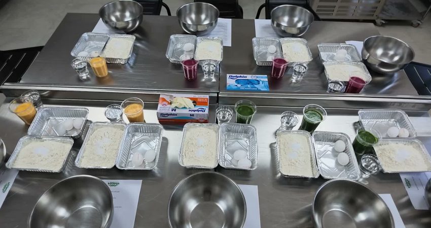 Mersin Büyükşehir Belediyesi bünyesindeki Hamzabeyli Köyümüz Atölye’de, teknik personel eşliğinde