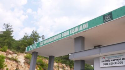 Mersin Büyükşehir Belediyesi Kaşlı Hayvan Bakımevi ve Doğal Yaşam Alanı’nda