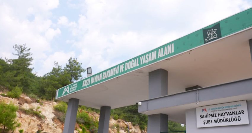 Mersin Büyükşehir Belediyesi Kaşlı Hayvan Bakımevi ve Doğal Yaşam Alanı’nda