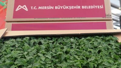 Mersin Büyükşehir Belediyesi, Erdemli ilçesinde 200 üreticiye toplam 259 bin