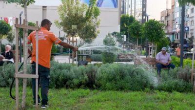Mersin Büyükşehir Belediyesi, Kırmızı Lacivert ve Özel İdare İş Merkezi’nin