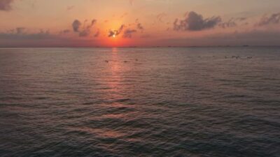 Mersin Büyükşehir Belediyesi, Avrupa Hareketlilik Haftası'nda sporun ve hareketli yaşamın