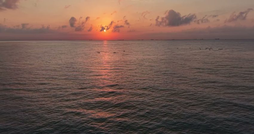 Mersin Büyükşehir Belediyesi, Avrupa Hareketlilik Haftası'nda sporun ve hareketli yaşamın