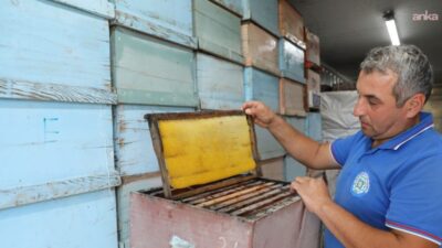 Muğla Büyükşehir Belediyesi, arıcıların en önemli sorunlarından olan büyük balmumu