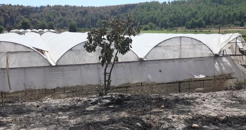 Muğla Büyükşehir Belediyesi, Seydikemer’de çıkan yangında serası zarar gören üretici