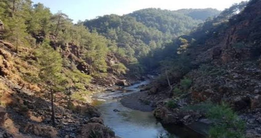 Muğla'nın Köyceğiz ve Ula ilçelerinde DSİ tarafından yapılması planlanan Balcılar