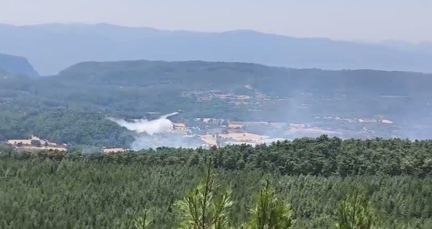 Muğla’nın Menteşe ilçesinde sabah saatlerinde başlayan orman yangınının enerjisi büyük