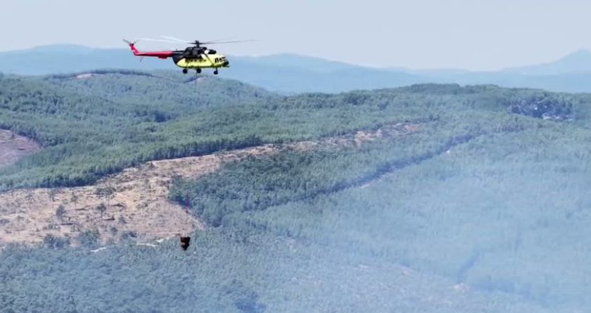 Muğla’nın Menteşe ilçesinde başlayarak Ula ilçesine sıçrayan orman yangınının enerjisinin