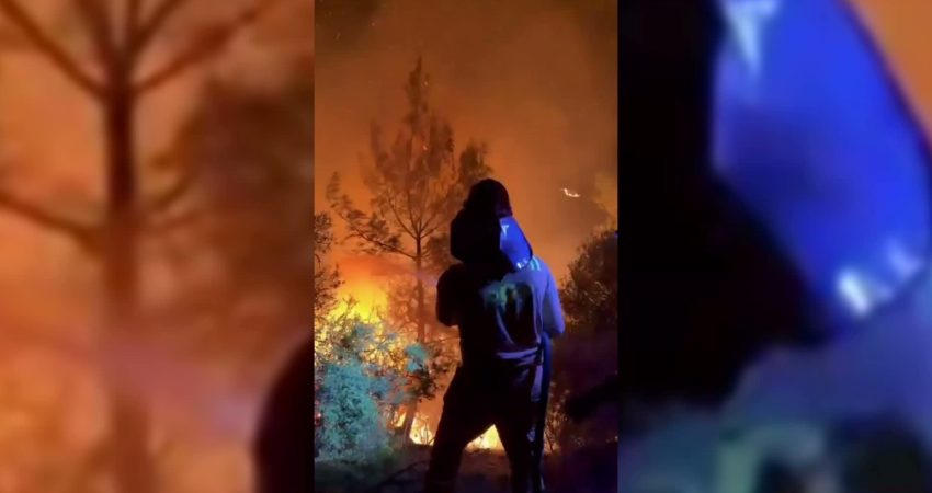 OGM: Antalya ve Mersin’deki üç yangının enerjisi düşürüldü, Adana Kozan’da müdahale sürüyor Orman Genel Müdürlüğü (OGM), Antalya’nın Aksu ve Kumluca ilçeleri ile