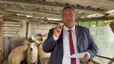 CHP Niğde Milletvekili Ömer Fethi Gürer, hayvansal üretimde son yıllarda