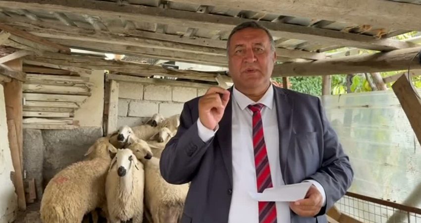 CHP Niğde Milletvekili Ömer Fethi Gürer, hayvansal üretimde son yıllarda