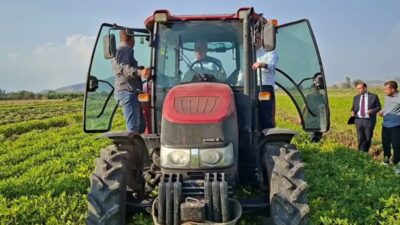 Osmaniye’nin Değirmenocağı köyünde fıstık hasadına katılan YENİ Parti milletvekilleri, üretici