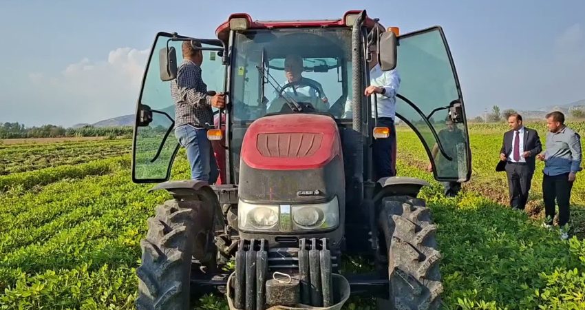 Osmaniye’nin Değirmenocağı köyünde fıstık hasadına katılan YENİ Parti milletvekilleri, üretici