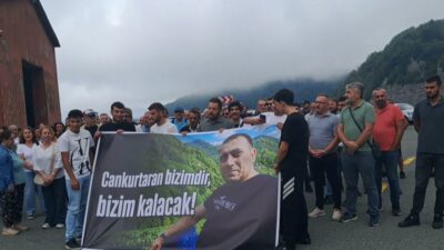 Artvin’in Borçka ve Hopa ilçeleri sınırındaki Cankurtaran’da, ormandaki ağaç kesimi