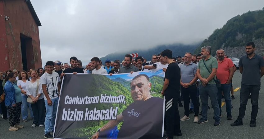 Artvin’in Borçka ve Hopa ilçeleri sınırındaki Cankurtaran’da, ormandaki ağaç kesimi