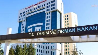 Sayıştay, Tarım ve Orman Bakanlığı'nın 2025 yılı denetiminde, TÜRKVET'te yaklaşık