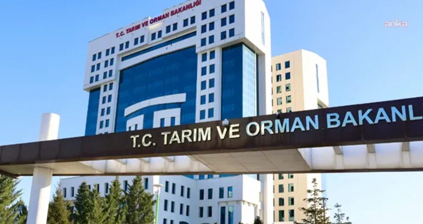 Sayıştay, Tarım ve Orman Bakanlığı'nın 2025 yılı denetiminde, TÜRKVET'te yaklaşık