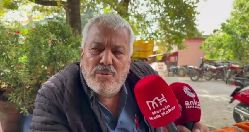 Mersin'de kilogramını 13 liraya mal ettiği şeftaliyi 10 liraya bile