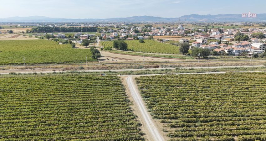 Şehzadeler Belediyesi Fen İşleri Müdürlüğü ekipleri, Karaağaçlı Mahallesi’nde ova yolu