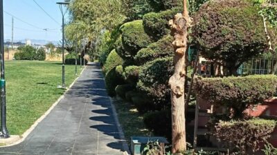 Şehzadeler Belediyesi, yeşil alanlar ve çocuk parklarında bakım, onarım, temizlik