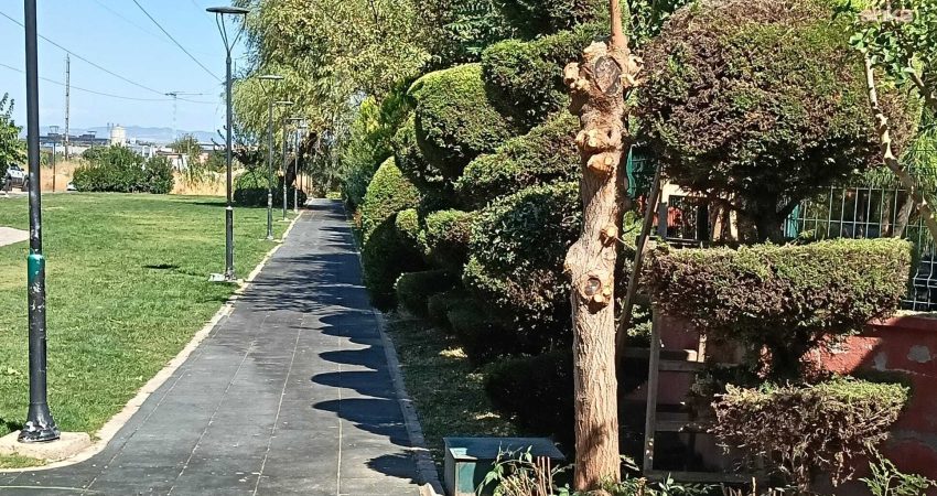 Şehzadeler Belediyesi, yeşil alanlar ve çocuk parklarında bakım, onarım, temizlik