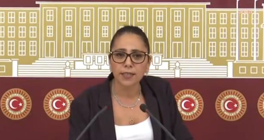 TİP Sözcüsü ve İstanbul Milletvekili Sera Kadıgil, LGBTİ+’lara ve derneklere