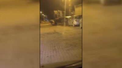 Sinop’un Saraydüzü ilçesinde gece saatlerinde ilçe merkezine kadar inen ayı,