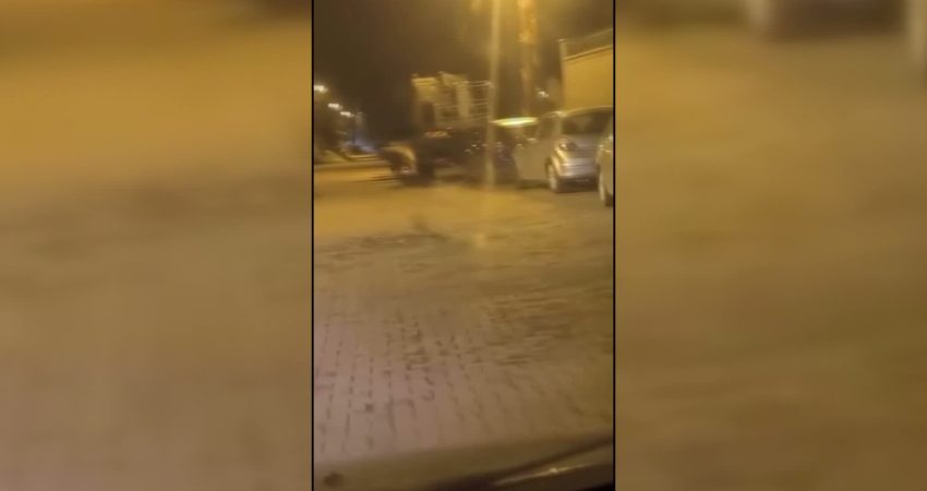 Sinop Saraydüzü’nde ilçe merkezine inen ayı cep telefonu kamerasında Sinop’un Saraydüzü ilçesinde gece saatlerinde ilçe merkezine kadar inen ayı,