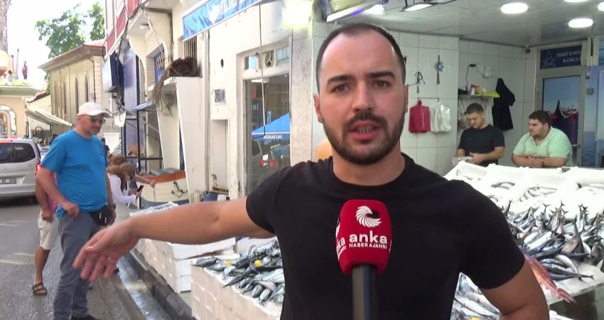 Sinoplu balıkçılar av yasağının 1 Eylül'de sona ermesiyle yeni sezona