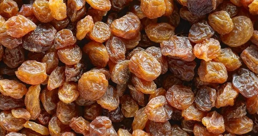 TMO: 10 numara çekirdeksiz kuru üzüm için alım fiyatı 100 TL TMO, çekirdeksiz kuru üzüm alım fiyatlarını 10 numara için 100