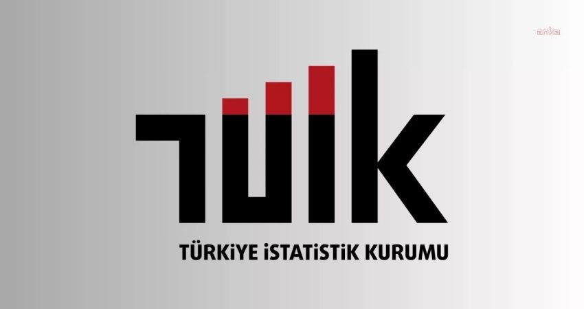 Türkiye İstatistik Kurumu (TÜİK) verilerine göre, 2026 yılı Haziran ayında