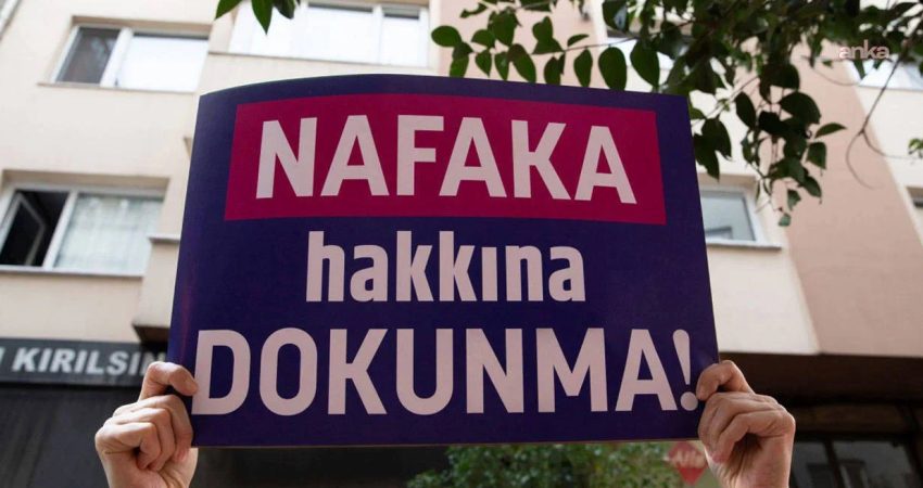 DEM Parti Eş Genel Başkanı Tülapy Hatimoğulları, Resmi Gazete'de AYM'nin