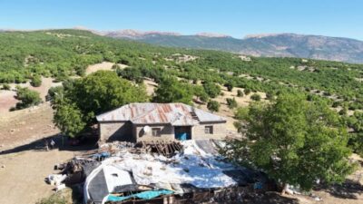 Tunceli’de geçimini hayvancılıkla sağlayan Mikail Karakuş’un ahırına ayı girdi. 11