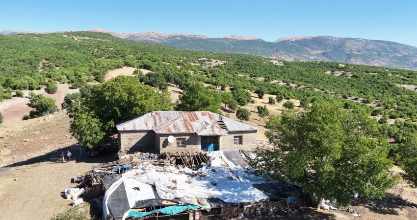 Tunceli’de ahıra giren ayı, 11 küçükbaş hayvanı ve 2 yavru köpeği öldürdü Tunceli’de geçimini hayvancılıkla sağlayan Mikail Karakuş’un ahırına ayı girdi. 11