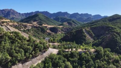 Tunceli’de hayvancılık yapan köylüler, artan ayı saldırılarından şikayetçi Tunceli’de küçükbaş hayvancılıkla geçimini sağlayan köylüler, son dönemde ayı saldırılarının