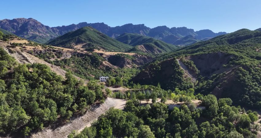 Tunceli’de hayvancılık yapan köylüler, artan ayı saldırılarından şikayetçi Tunceli’de küçükbaş hayvancılıkla geçimini sağlayan köylüler, son dönemde ayı saldırılarının