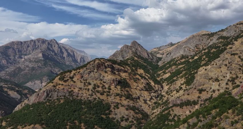 Tunceli’de “özel güvenlik bölgesi” gerekçesiyle gidemediği köyüne 45 yıl sonra geri döndü Tunceli’de 1981 yılında köyünden ayrılan Hüseyin Yalnız, uzun yıllar ‘özel