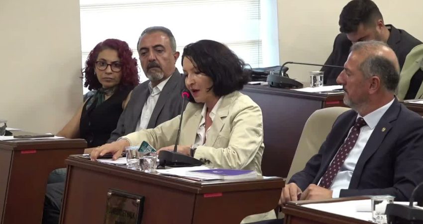 İBB CHP Grup Başkanvekili ve Tuzla Belediye Meclis Üyesi Ülkü