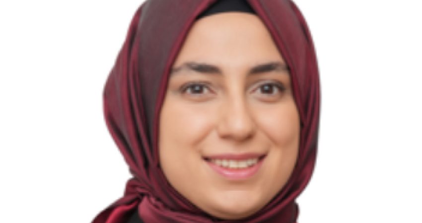 Üsküdar Belediyesi Başkan Vekilliği seçimi öncesi gözaltına alınan Amine Cansu Çelik tutuklama istemiyle hakimliğe sevk edildi Sinem Dedetaş'ın tutuklanmasının ardından yaşanan süreçte Bölge İdare Mahkemesi'nin Üsküdar