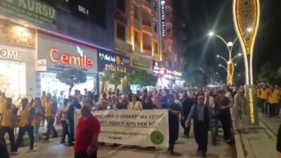 Van Emek ve Demokrasi Platformu’nca 1 Eylül Dünya Barış Günü